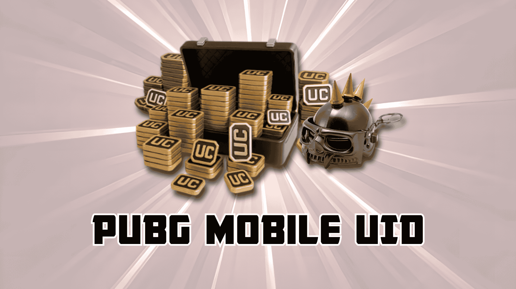 PUBG Mobile Uid